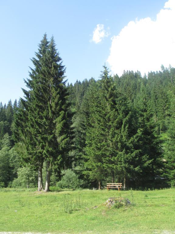 Ferienhaus Schwarzenbacher Лунгёц Номер фото